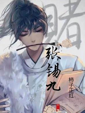聊城张锡九