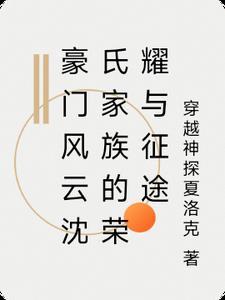 沈氏风云讲什么