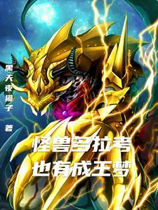 奥特曼中的老大