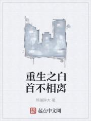 白首不相离好看吗