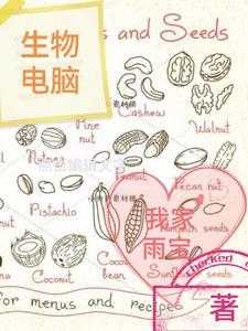 生物电脑f91