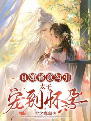 太子妃良娣良媛宝林
