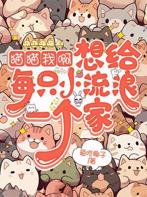 我要给小猫