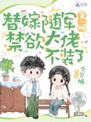 替嫁将军txt
