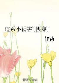道系小祸害在线阅读
