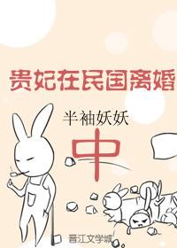 贵妃在民国离婚中讲的什么