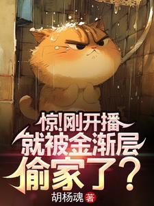 金渐层会抓老鼠吗