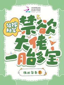 错嫁军火老公