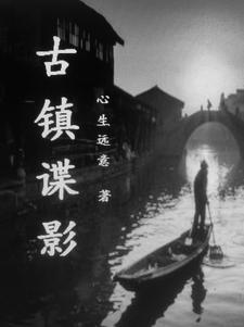 古城谍影评分