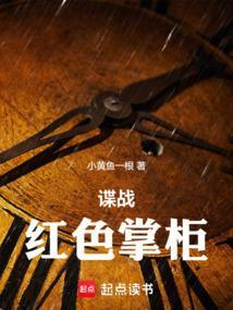 谍战红色掌柜147