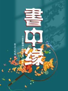 短剧合集书中缘