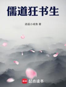 儒道书生