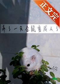 仓鼠为什么变成宠物
