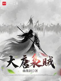 大唐枭贼免费阅读
