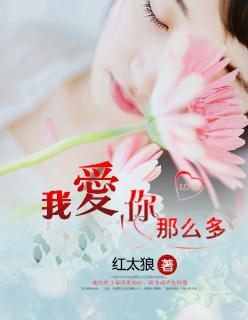 我爱你那么多你怎么舍得我难过