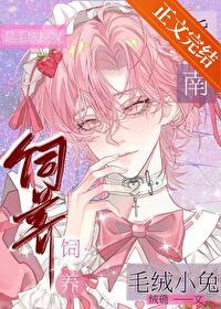 毛绒兔子照片