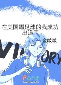 足球在美国影响力