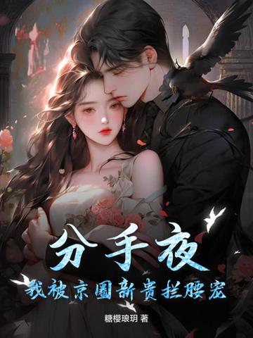 分手夜我被京圈新贵拦腰宠