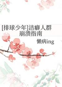 排球少年解读