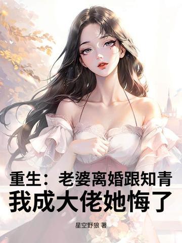 重生之老婆不离婚
