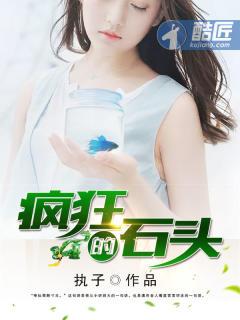 疯狂的石头 票房
