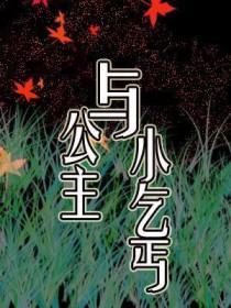公主与小乞丐cp