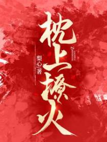 枕上撩火是哪个公司的剧