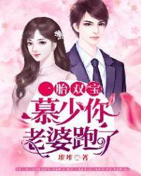 一胎双宝慕少你老婆又跑了