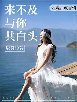 来不及相遇的下一句