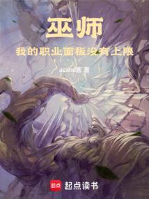 巫师我的职业面板没有上限笔趣阁无删减