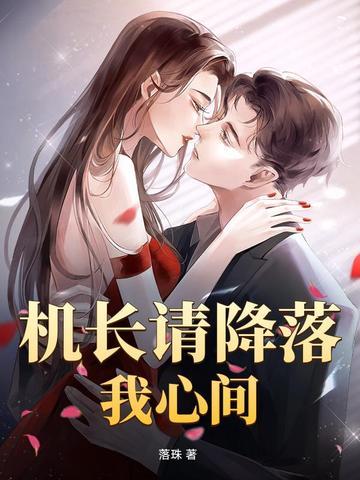 机长降落视频