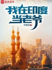 我在印度当老爷百科