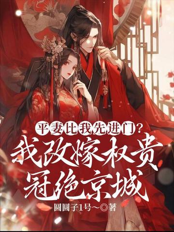 平妻啥意思
