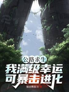 公路求生从破旧汽车开始 作者锦衣绣春刀