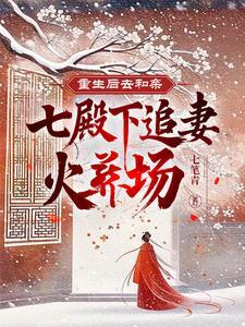 重生后搬回七王府什么