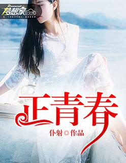 正青春电视剧免费观看
