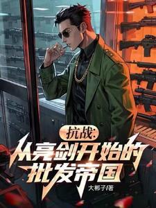 抗战从亮剑开始的批发帝国TXT