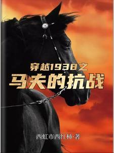 抗日开局救了丁伟免费