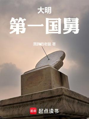 大明第一国舅TXT