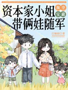 带俩娃随军动画