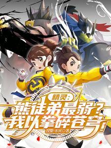 武道熊师动画