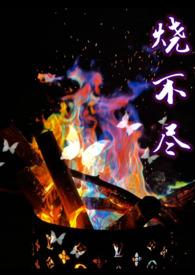 烧不尽番外全