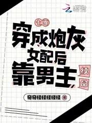 七零之穿成炮灰男配
