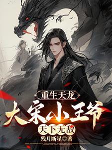 天龙之大宋王爷
