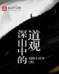 深山中的道观是什么