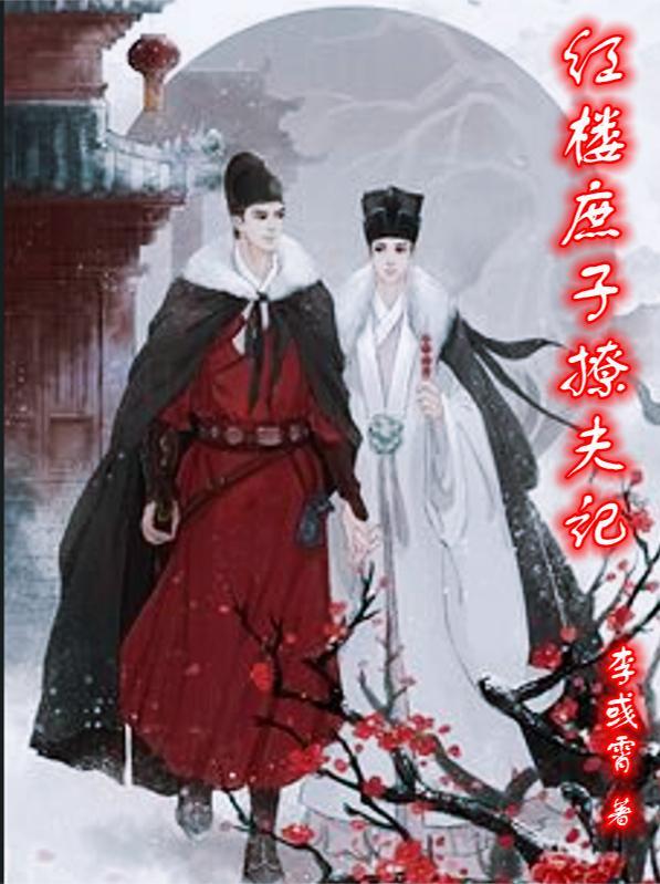 庶子闹红楼完