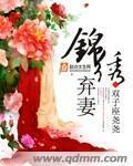 锦绣弃妻笔趣阁