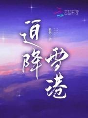 迫降雪港笔趣阁