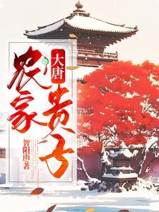 穿越大唐农家小子