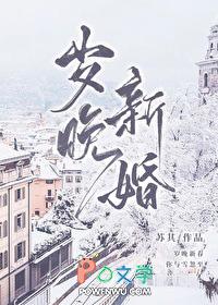 岁晚新婚全文免费阅读苏其